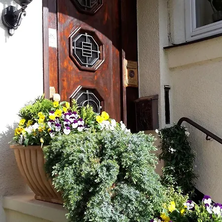 Nielsen Guest house *